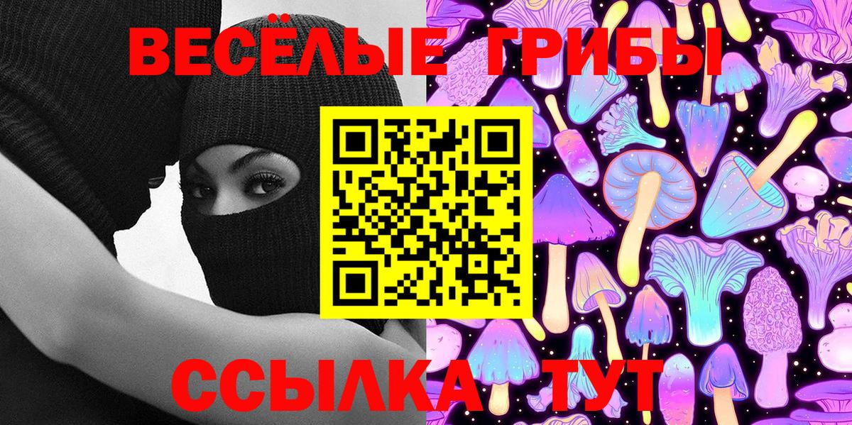 Галлюциногенные грибы GOLDEN TEACHER  Псилоцибиновые грибы Magic Shrooms  Вход с VPN  Советск 